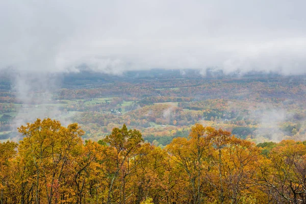 Nebliger Herbstblick Vom Blue Grat Parkway Jungfräulichkeit — Stockfoto