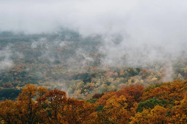 Vista Nublada Del Otoño Desde Blue Ridge Parkway Virginia —  Fotos de Stock