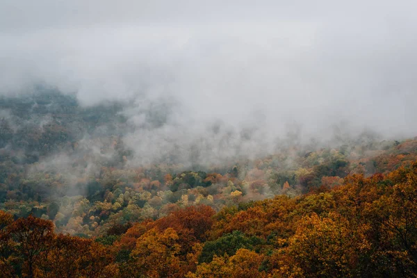Ομιχλώδης Φθινοπωρινή Θέα Από Parkway Μπλε Κορυφογραμμή Βιρτζίνια — Φωτογραφία Αρχείου