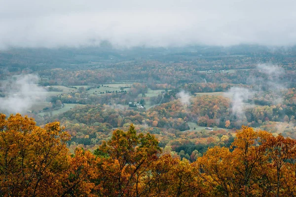 ブルーリッジ パークウェイ バージニア州から霧の秋景色 — ストック写真