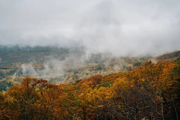从蓝色山脊大道 在弗吉尼亚的雾秋视图 — 图库照片