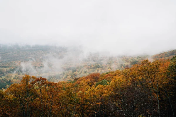 Mglisty Jesienny Widok Blue Ridge Parkway Stanie Wirginia — Zdjęcie stockowe