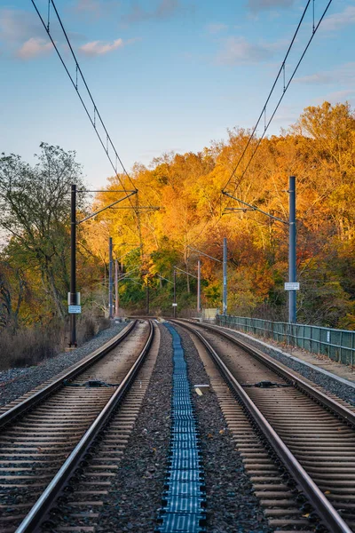 Light Rail Tracks Autumn Color Baltimore Maryland — Stock Photo, Image