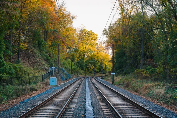 Light Rail tracks and autumn color in Baltimore, Maryland