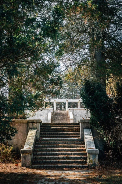 在弗吉尼亚州阿夫顿 Swannanoa 宫后院的楼梯 — 图库照片