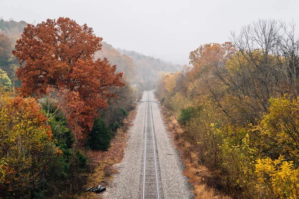 バージニア州ブルーリッジ パークウェイからのジェームス川に沿って鉄道トラックのビュー — ストック写真