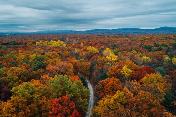 Weergave Van Een Weg Herfst Kleur Grote Niveaus George Washington — Stockfoto