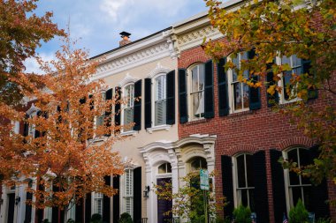 Sonbahar renk ve Old Town, Alexandria, Virginia satır evleri