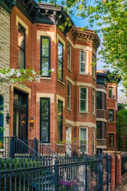 Lincoln Park, Chicago, Illinois evlerde