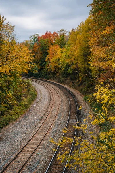 Falla Färg Och Railroad Tracks Remington Baltimore Maryland — Stockfoto