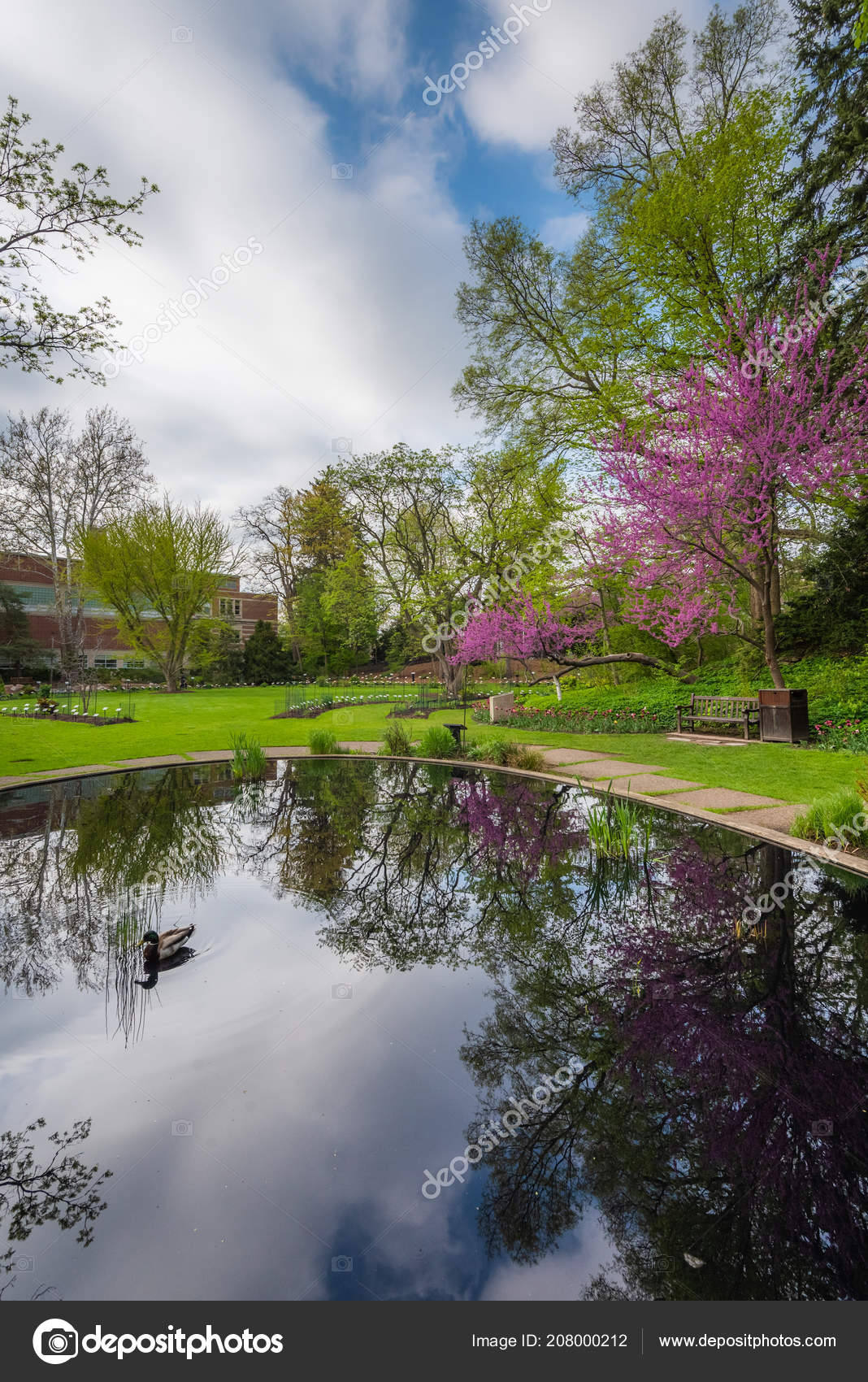 Pond Beal Botanical Garden Michigan State University East Lansing