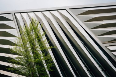 Eli ve Edythe geniş Sanat Müzesi East Lansing, Michigan Michigan Eyalet Üniversitesi'nde