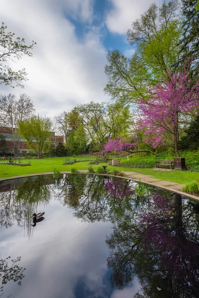 Estanque Jardín Botánico Beal Michigan State University East Lansing Michigan — Foto de Stock