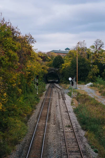 Voies Ferrées Contra Costa Maryland — Photo