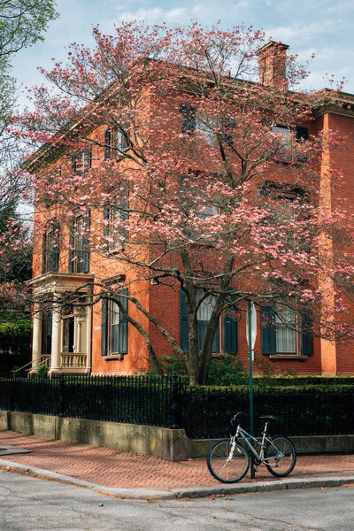 Spring colors in College Hill, Providence, Rhode Island