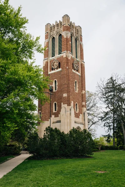 Башня Фамонт Университете Штата Мичиган Ист Лансинге Штат Мичиган — стоковое фото