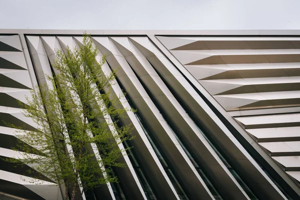 Eli Edythe Broad Art Museum Michigan State University East Lansing — Fotografia de Stock