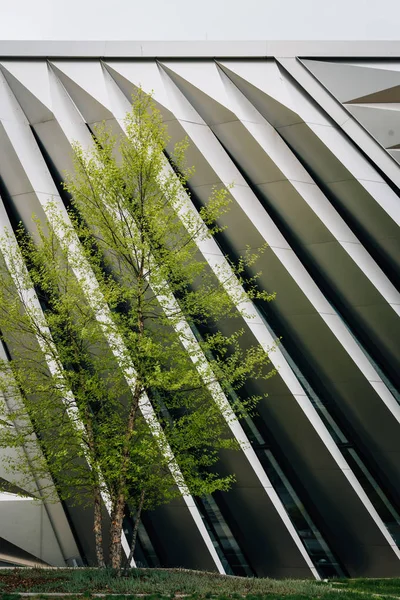 Eli Edythe Broad Muzea Umění Michigan State University East Lansing — Stock fotografie