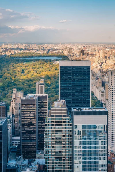 Utsikt Över Central Park Och Byggnader Midtown Manhattan New York — Stockfoto