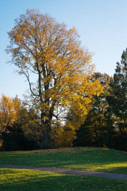 Sonbahar renk dalga Hill Gardens, Bronx, New York City