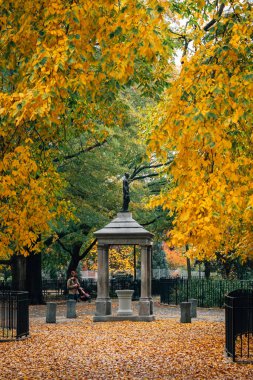 Tompkins Meydanı Parkı, East Village, New York City, sonbahar renk