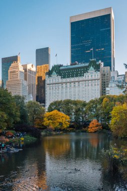 Gölet ve Midtown Manhattan, New York City'deki binalar sonbahar renk