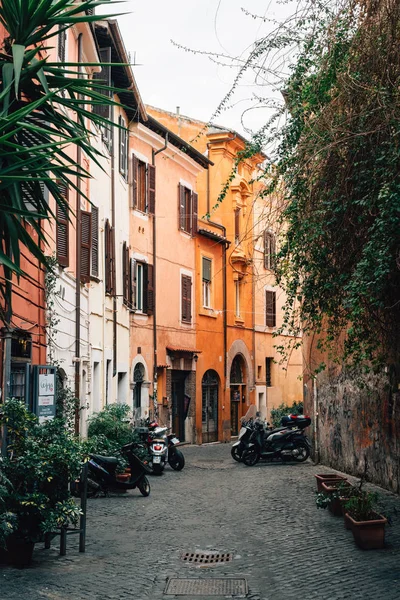 Vicolo Del Cedro Una Colorida Calle Empedrada Trastevere Roma Italia — Foto de Stock