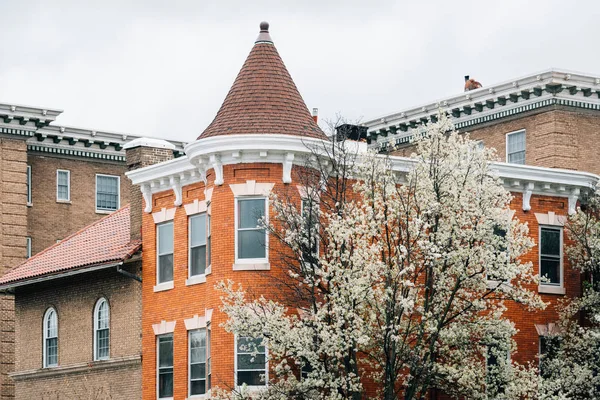 Casas Adosadas Charles Street Charles Village Baltimore Maryland — Foto de Stock