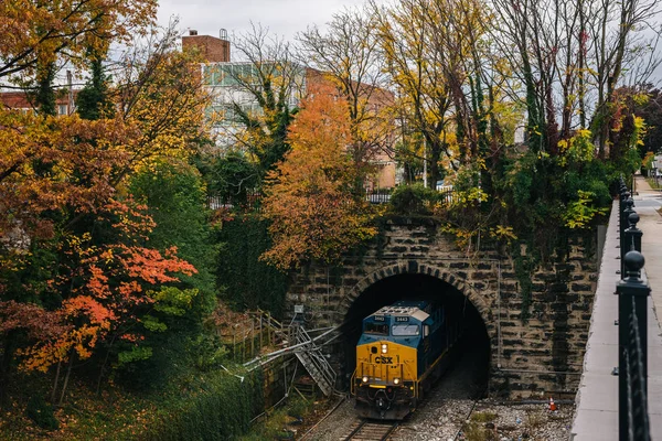 Železniční Tunel Podzim Barva Charles Vesnici Baltimore Maryland — Stock fotografie