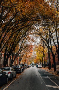 Society Hill, Philadelphia, Pennsylvania bir cadde boyunca sonbahar renk.