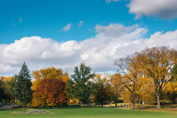 Color Otoño Central Park Manhattan Nueva York — Foto de Stock