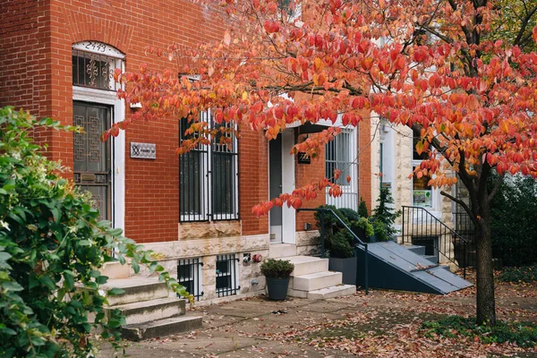 Fall Color Row Houses Charles Village Baltimore Maryland — Stock Photo, Image