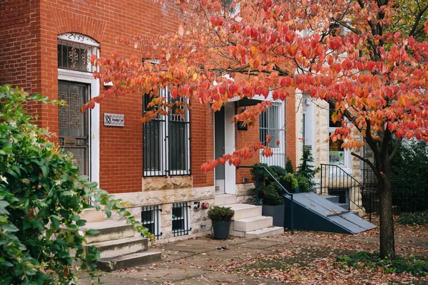 Casas Otoño Charles Village Baltimore Maryland — Foto de Stock