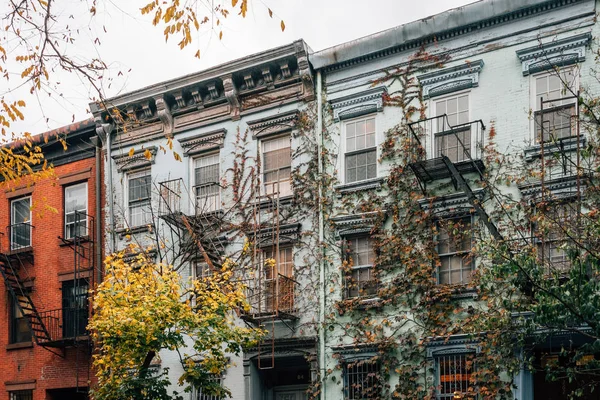ブドウの木とイースト ビレッジ マンハッタン ニューヨーク市の秋の色の家 — ストック写真