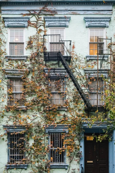 House with vines in the East Village, Manhattan, New York City