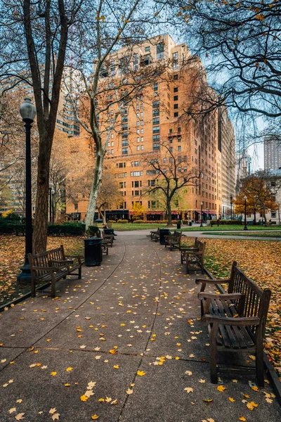 宾夕法尼亚州费城里滕豪斯广场公园的秋色和人行道 — 图库照片