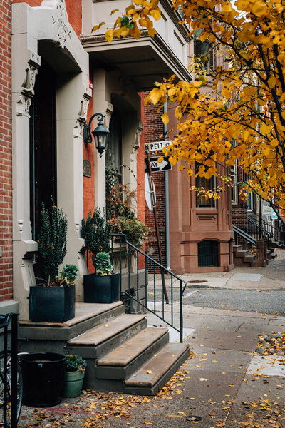 Autumn color and townhouses near Rittenhouse Square, in Philadelphia, Pennsylvania.