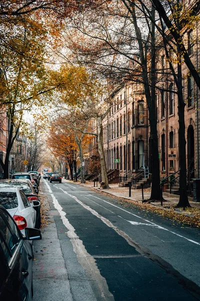 Cor Outono Longo Uma Rua Perto Rittenhouse Square Filadélfia Pensilvânia — Fotografia de Stock