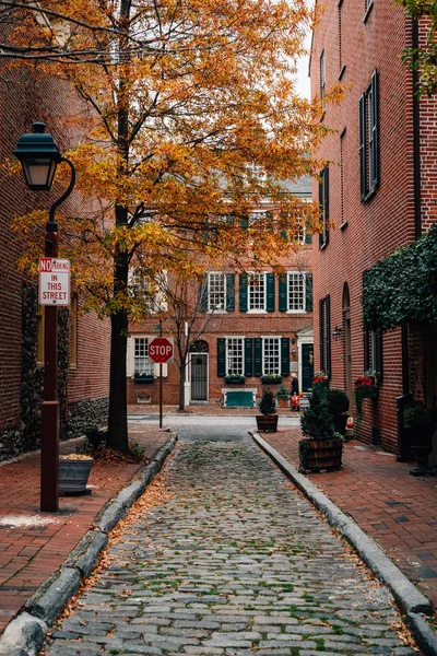 Herfst Kleur Langs Philip Straat Society Hill Philadelphia Pennsylvania — Stockfoto