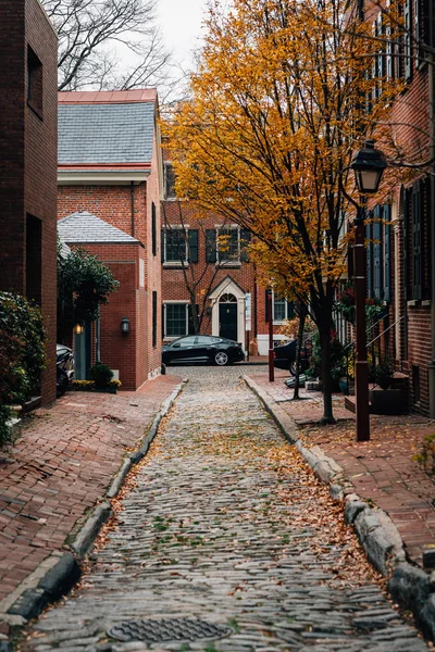 Höstfärg Längs Philip Street Samhället Hill Philadelphia Pennsylvania — Stockfoto