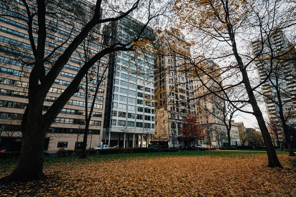 Podzimní Listí Náměstí Rittenhouse Filadelfie Pensylvánie Usa — Stock fotografie