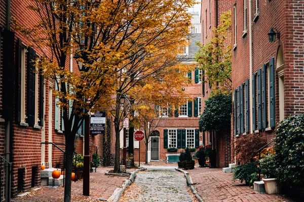 Jesienią Kolor Wzdłuż Ulicy Filipa Społeczeństwie Hill Filadelfia Pensylwania — Zdjęcie stockowe