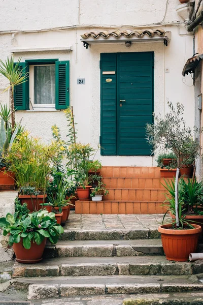 Plantas Uma Casa Longo Bruno Buozzi Matera Basilicata Itália — Fotografia de Stock