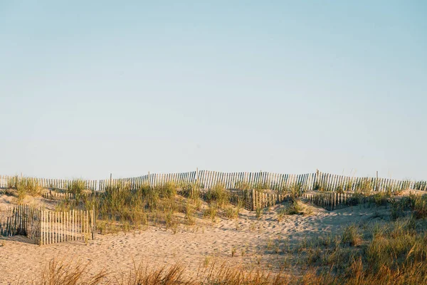 Sanddünen Und Zäune Der Küste Der Feuerinsel New York — Stockfoto