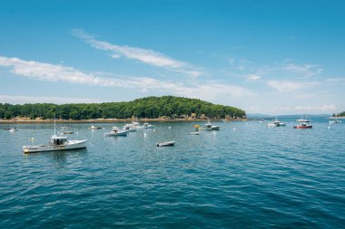 Bar Harbor, Mount Desert Island, Maine Fransız Bay tekneler