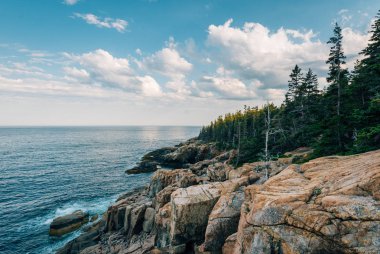 Görünümü Otter Cliffs, Acadia Milli Parkı, Maine ve kayalık sahil