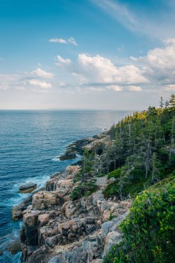 Görünümü Otter Cliffs, Acadia Milli Parkı, Maine ve kayalık sahil