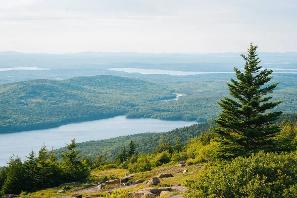 Visa Från Cadillac Mountain Acadia National Park Maine — Stockfoto