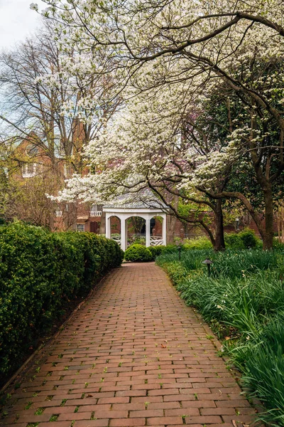 Gazebo Spring Colors Carlyle House Historic Park Alexandria Virginia — Stock Photo, Image