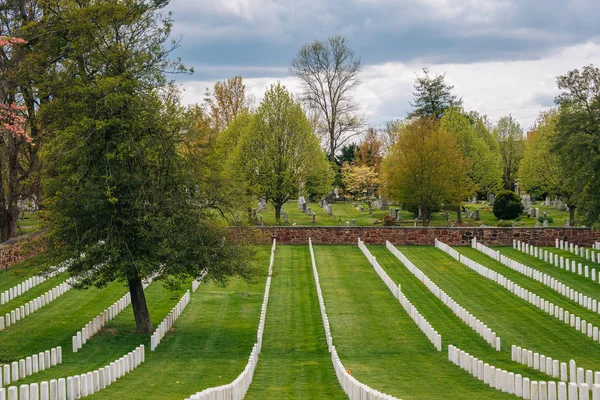 Alexandrië National Cemetery Alexandria Virginia — Stockfoto